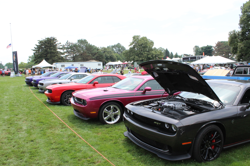 Illustration for article titled PVGP photos